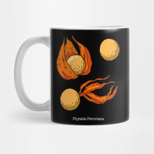 Physalis Peruviana Drawing - Cape Gooseberry Mug